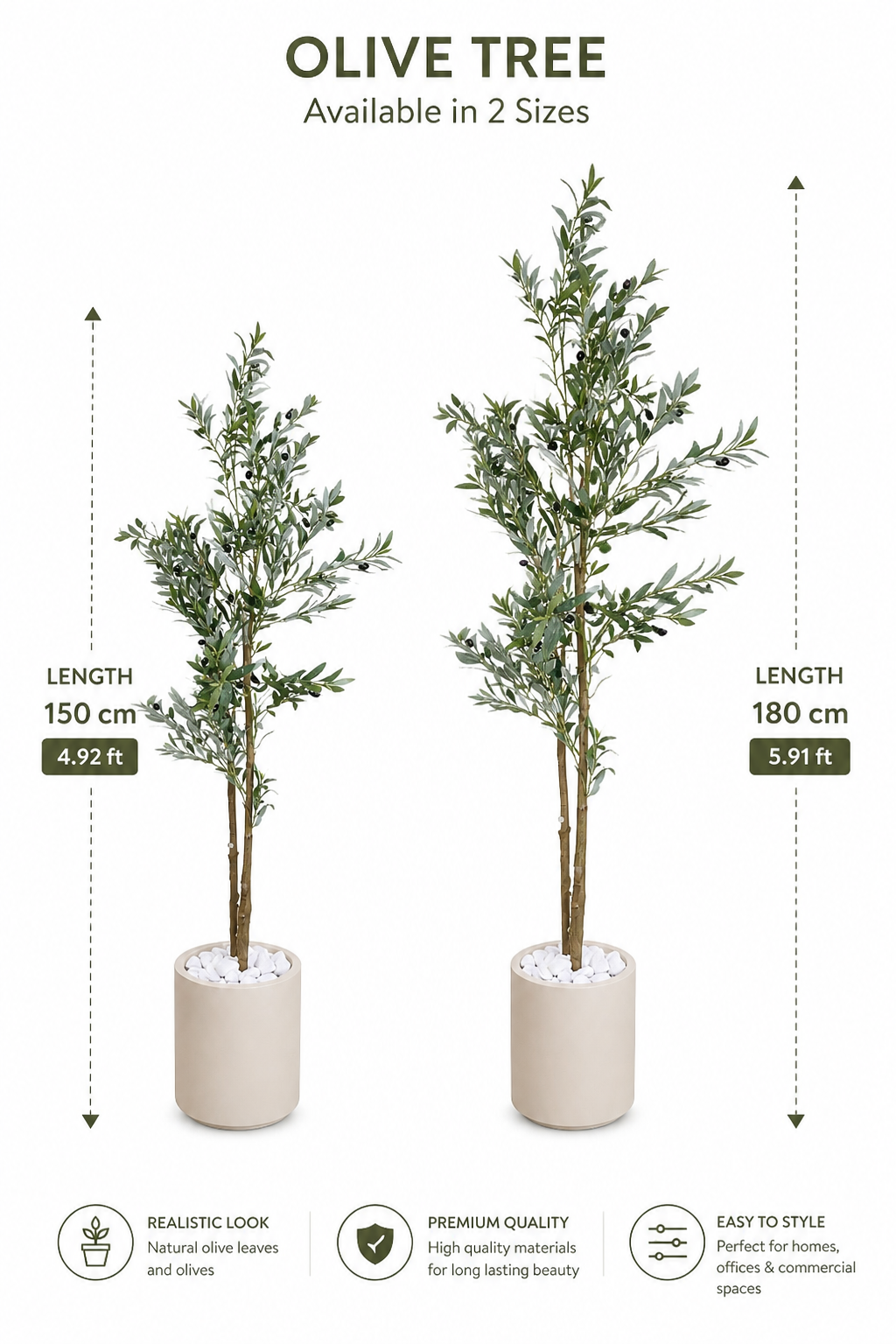 Olive Tree