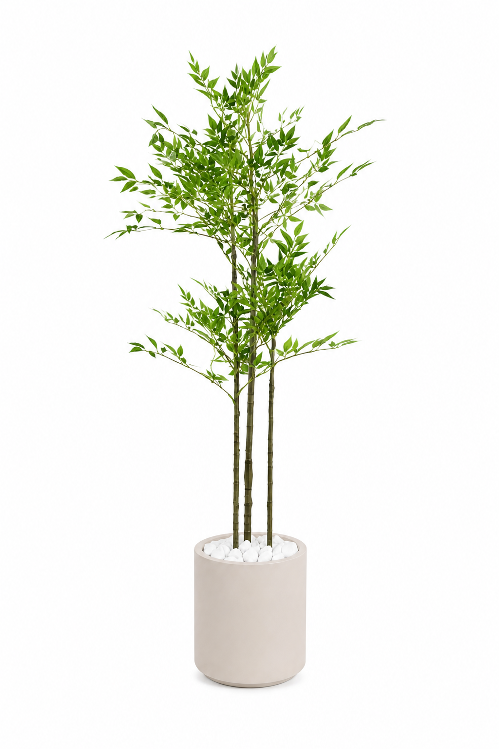 Bamboo Tree