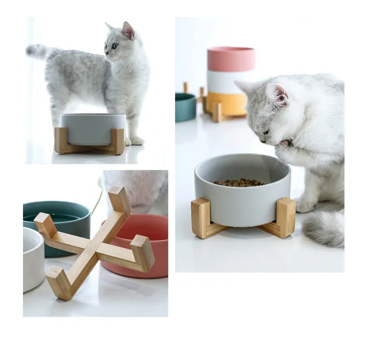 Ceramic Cat Dishes with Bamboo Stand