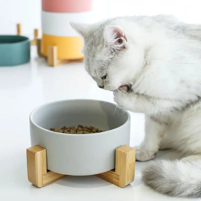 Ceramic Cat Dishes with Bamboo Stand